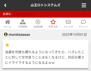 山王口コミ②